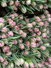 Load image into Gallery viewer, Valentine’s Day Tulips – Pre-Order - Collection Only
